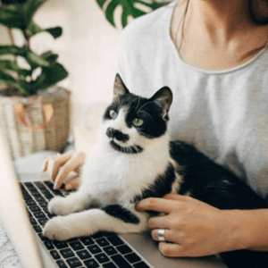 Curso de comunicación animal